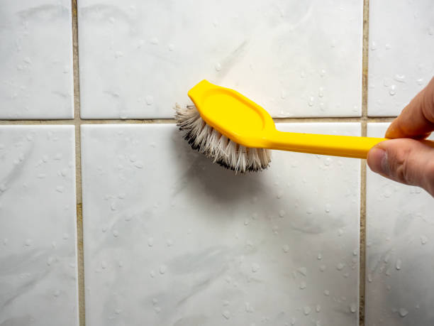Best Black Mold Removal  in West Grove, PA