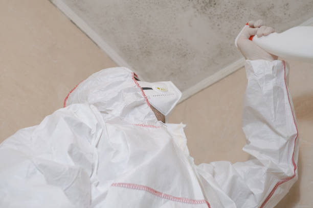 Best Residential Mold Removal  in West Grove, PA