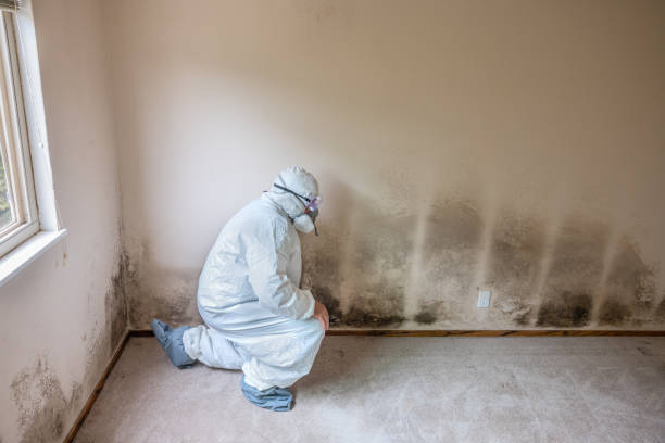 Best Crawl Space Mold Removal  in West Grove, PA