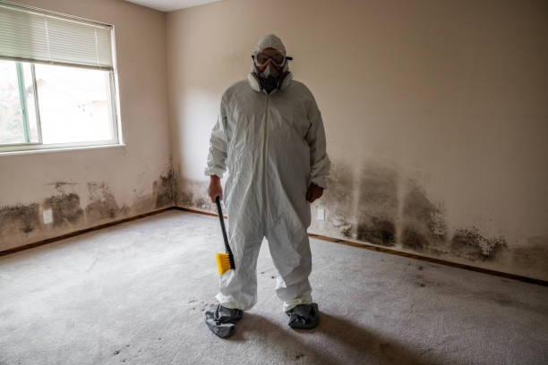 Best Commercial Mold Removal  in West Grove, PA